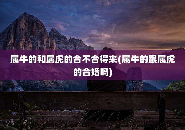 属牛的和属虎的合不合得来(属牛的跟属虎的合婚吗)