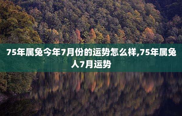 75年属兔今年7月份的运势怎么样,75年属兔人7月运势