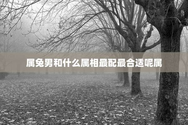 属兔男和什么属相最配最合适呢属