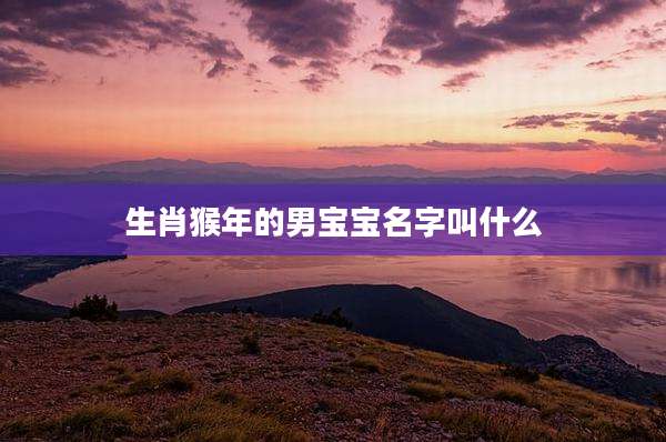 生肖猴年的男宝宝名字叫什么