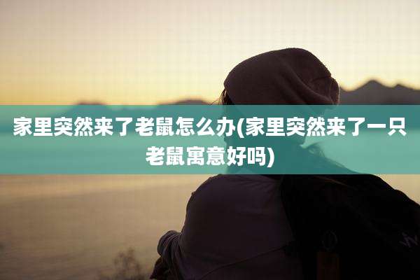 家里突然来了老鼠怎么办(家里突然来了一只老鼠寓意好吗)