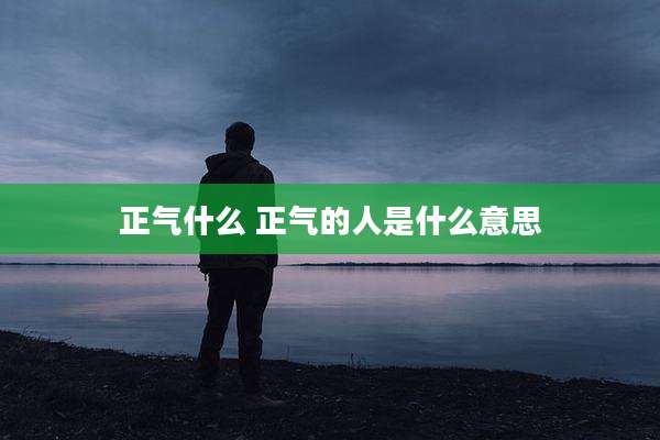正气什么 正气的人是什么意思