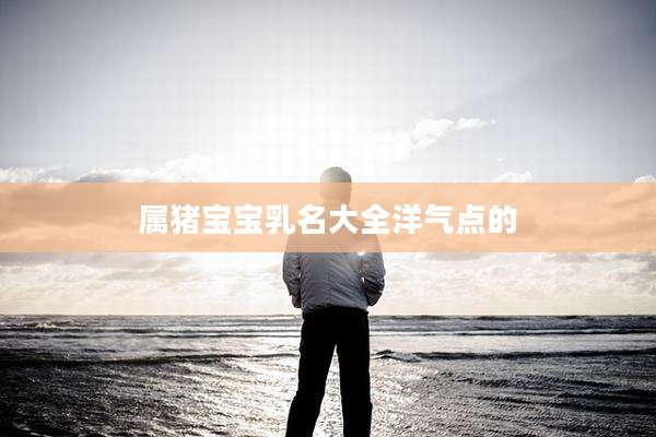 属猪宝宝乳名大全洋气点的