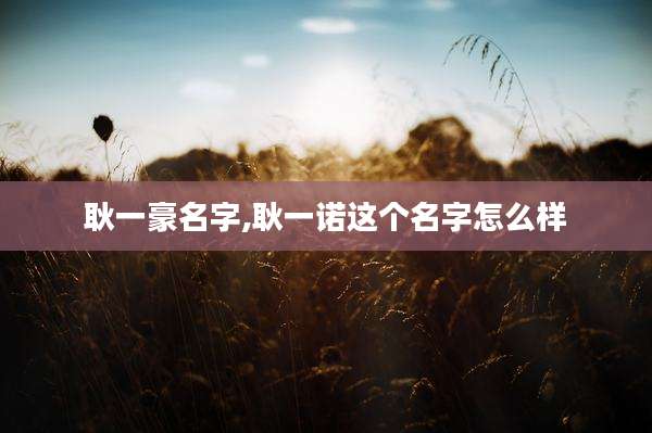 耿一豪名字,耿一诺这个名字怎么样