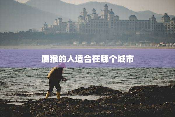属猴的人适合在哪个城市