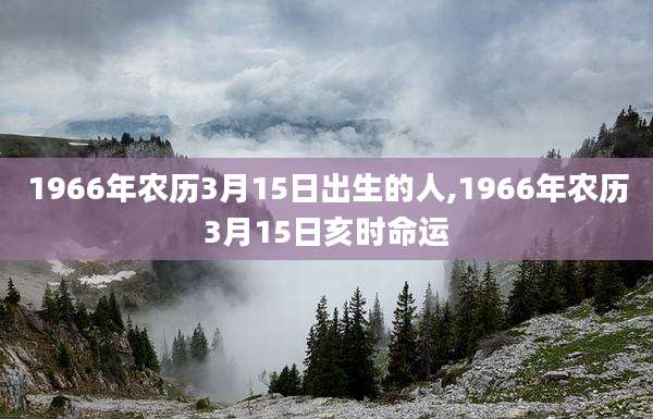 1966年农历3月15日出生的人,1966年农历3月15日亥时命运