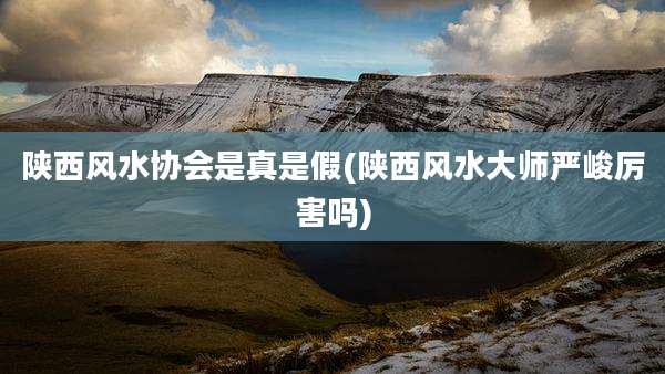 陕西风水协会是真是假(陕西风水大师严峻厉害吗)