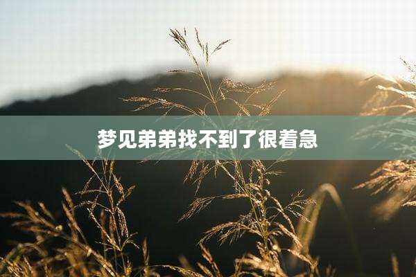 梦见弟弟找不到了很着急