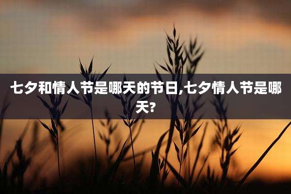七夕和情人节是哪天的节日,七夕情人节是哪天?