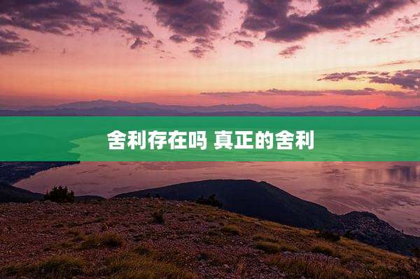 舍利存在吗 真正的舍利