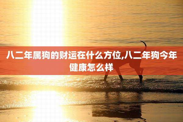 八二年属狗的财运在什么方位,八二年狗今年健康怎么样