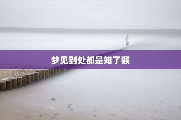 梦见到处都是知了猴