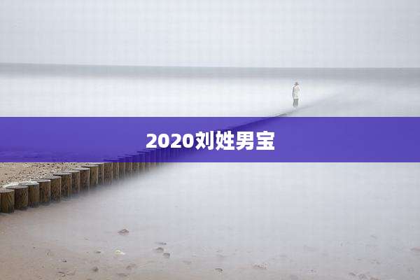 2020刘姓男宝