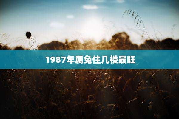 1987年属兔住几楼最旺