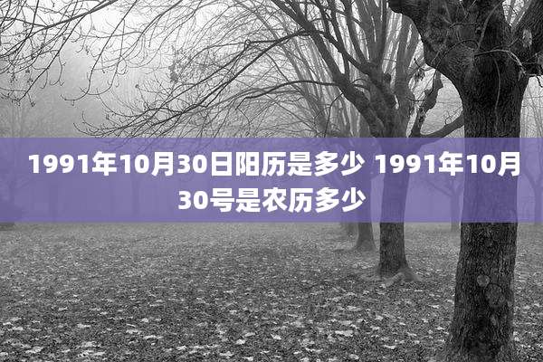 1991年10月30日阳历是多少 1991年10月30号是农历多少