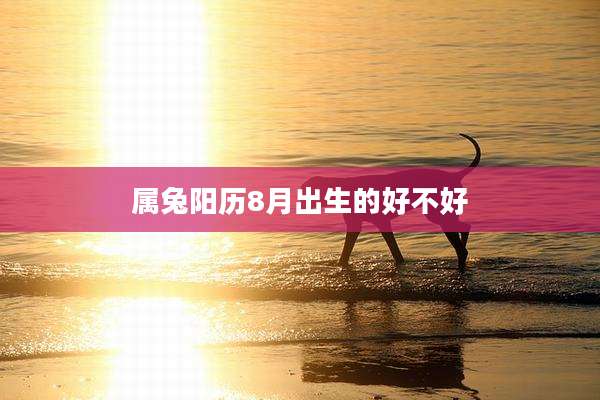 属兔阳历8月出生的好不好
