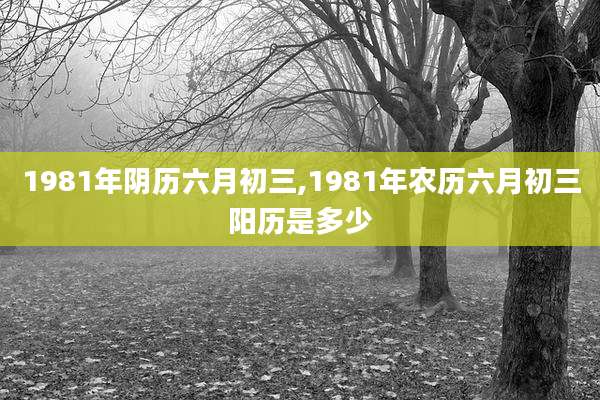 1981年阴历六月初三,1981年农历六月初三阳历是多少