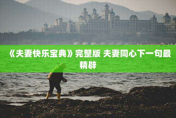 《夫妻快乐宝典》完整版 夫妻同心下一句最精辟