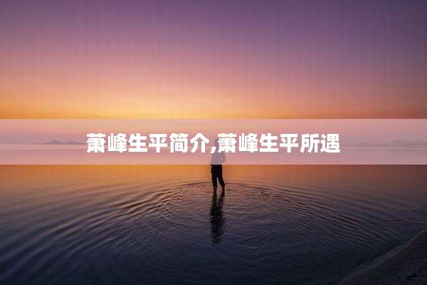 萧峰生平简介,萧峰生平所遇
