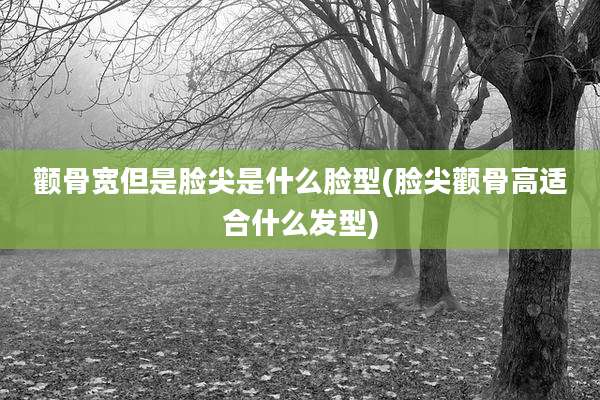 颧骨宽但是脸尖是什么脸型(脸尖颧骨高适合什么发型)