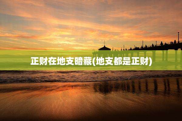 正财在地支暗藏(地支都是正财)