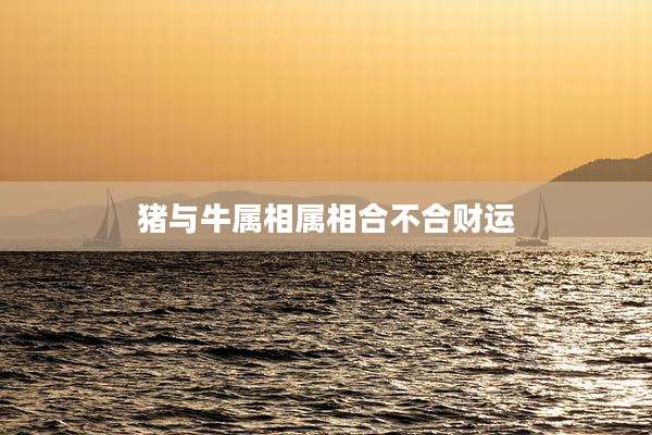 猪与牛属相属相合不合财运