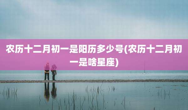 农历十二月初一是阳历多少号(农历十二月初一是啥星座)