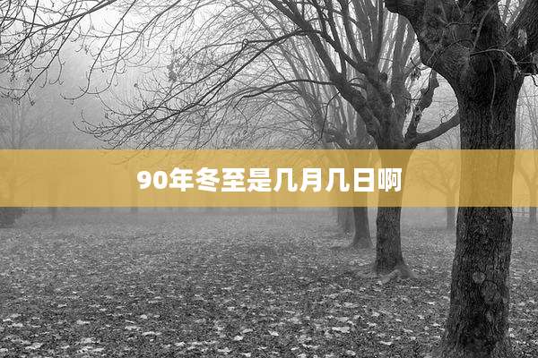 90年冬至是几月几日啊