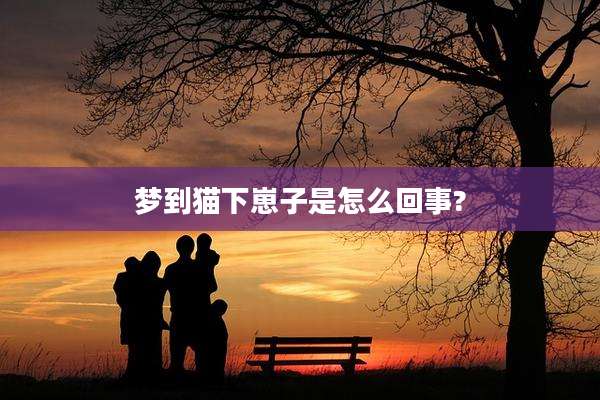 梦到猫下崽子是怎么回事?
