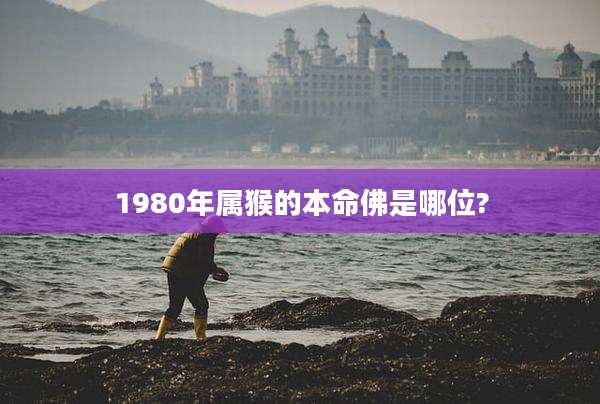 1980年属猴的本命佛是哪位?
