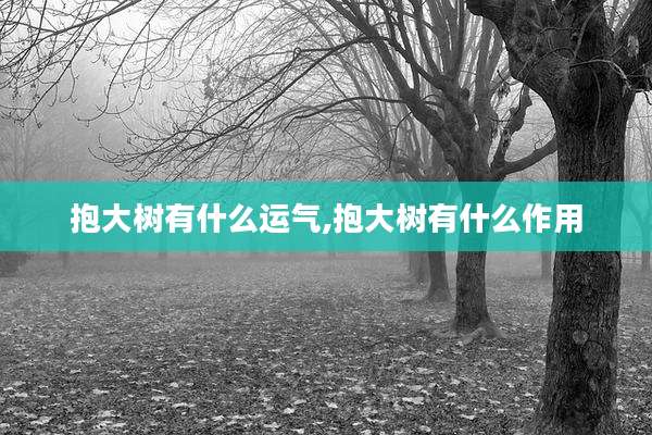 抱大树有什么运气,抱大树有什么作用