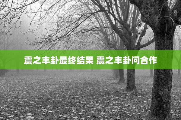 震之丰卦最终结果 震之丰卦问合作