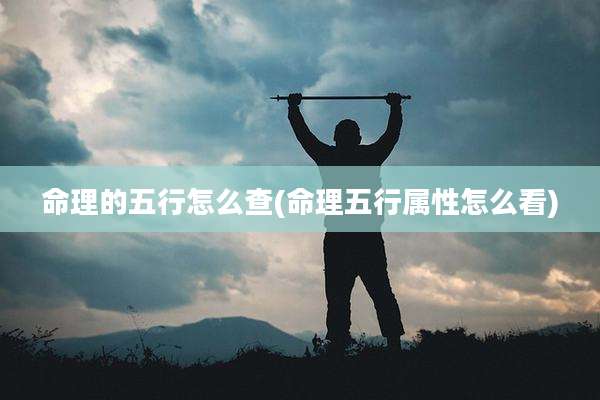 命理的五行怎么查(命理五行属性怎么看)