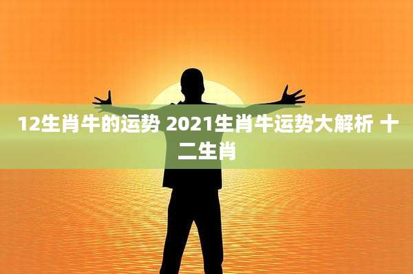 12生肖牛的运势 2021生肖牛运势大解析 十二生肖
