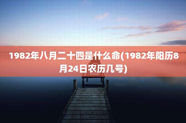 1982年八月二十四是什么命(1982年阳历8月24日农历几号)