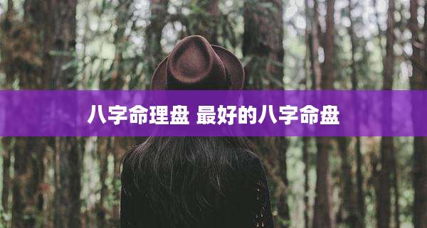 八字命理盘 最好的八字命盘