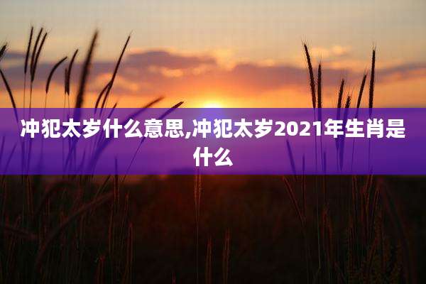 冲犯太岁什么意思,冲犯太岁2021年生肖是什么