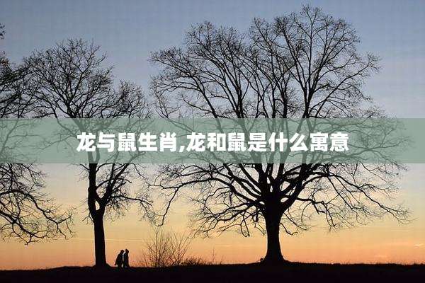 龙与鼠生肖,龙和鼠是什么寓意