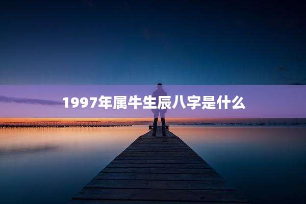 1997年属牛生辰八字是什么