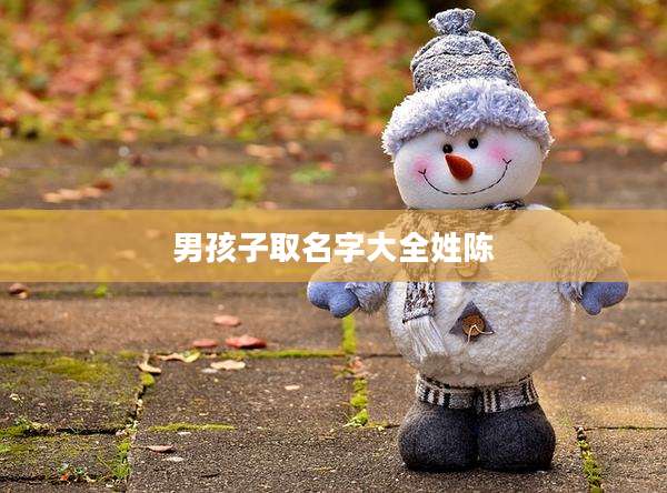 男孩子取名字大全姓陈