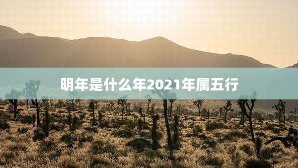明年是什么年2021年属五行