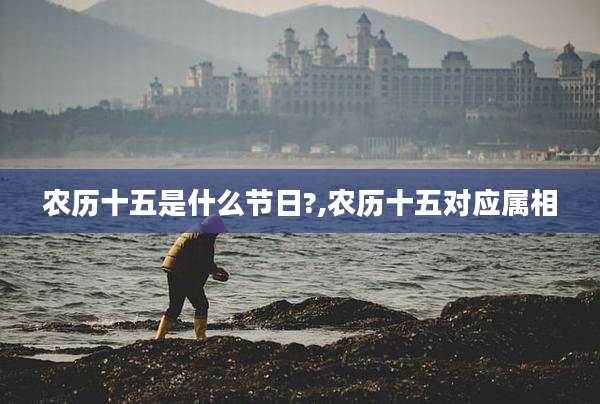 农历十五是什么节日?,农历十五对应属相
