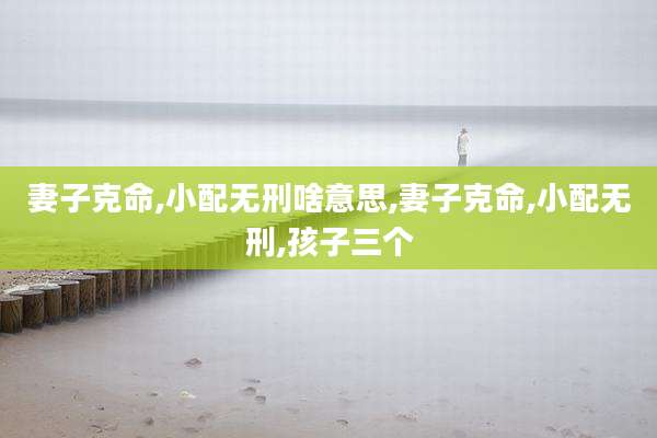妻子克命,小配无刑啥意思,妻子克命,小配无刑,孩子三个