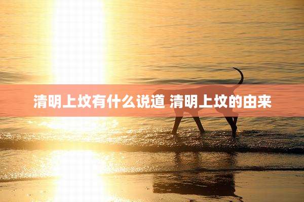 清明上坟有什么说道 清明上坟的由来