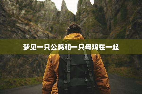 梦见一只公鸡和一只母鸡在一起