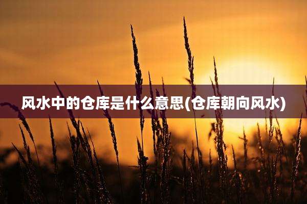 风水中的仓库是什么意思(仓库朝向风水)