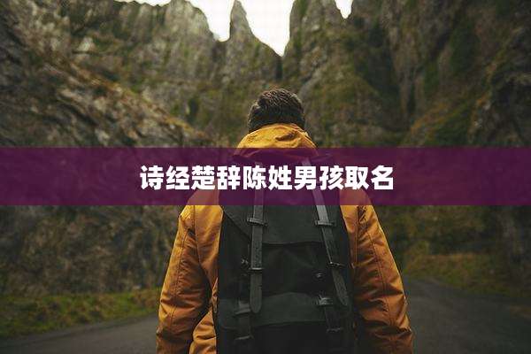 诗经楚辞陈姓男孩取名
