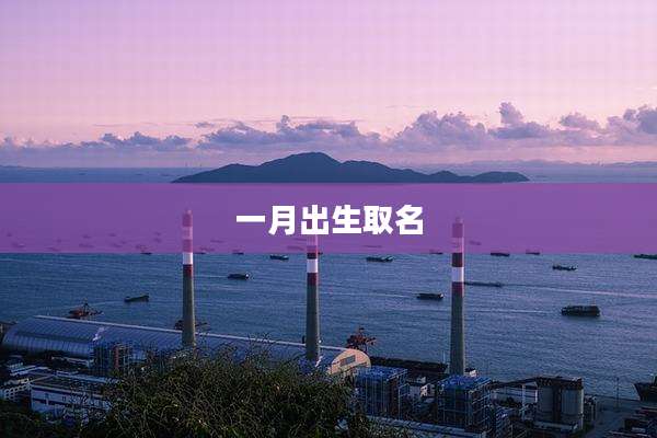 一月出生取名