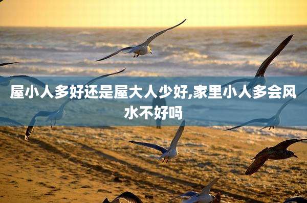 屋小人多好还是屋大人少好,家里小人多会风水不好吗
