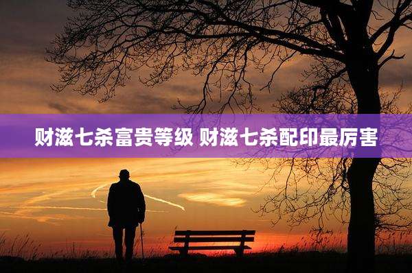 财滋七杀富贵等级 财滋七杀配印最厉害